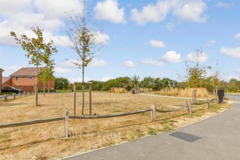 Surrounding Area