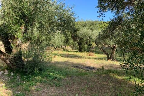 Terrain &amp; landscape