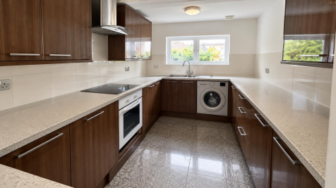 Modern U-Shaped Kitchen with Centered Window.png