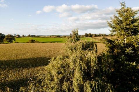 Views over adjoining fields