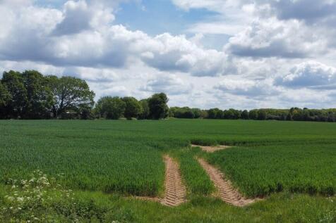 dji_fly_20260515_...