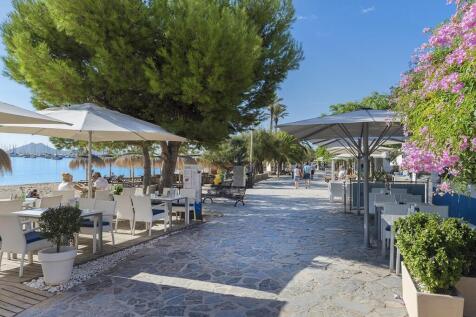 The Pine Walk Puerto