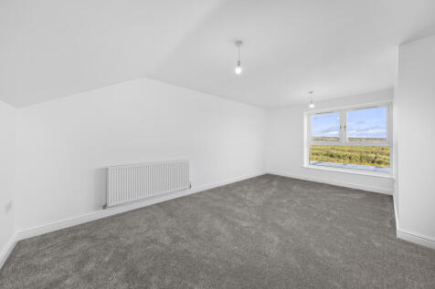 HI3A6693 T202509120942.jpg