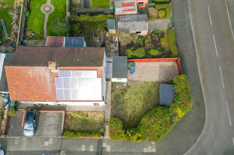 Plot View