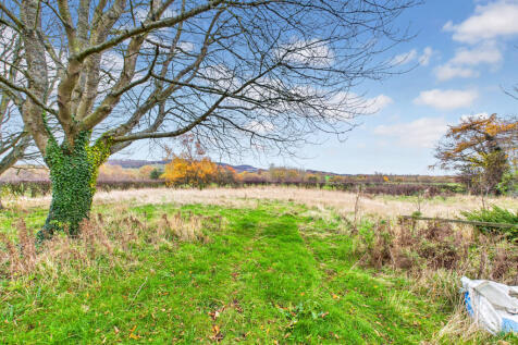 CAM04201G0-PR0117-STILL022