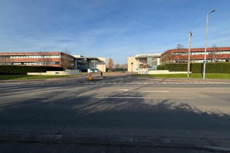 IMG_9356.JPEG