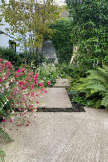 239958 - IMG_1216.jpg