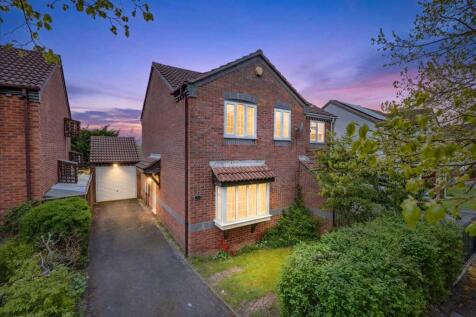 Main Picture