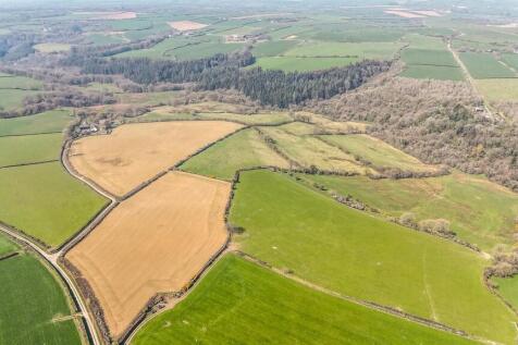 The Land
