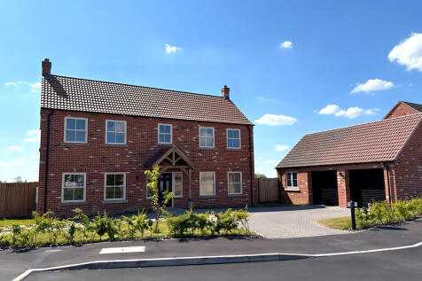 IMG_1117plot 9 2