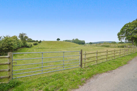 POSSIBLE PADDOCK