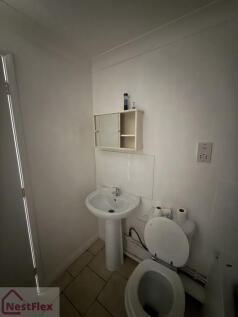 IMG_8436.jpeg