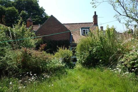 11  Medium  T202508071430.jpg