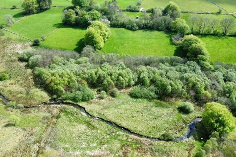 dji_fly_20240510_151346_121_1715350502061_photo_op