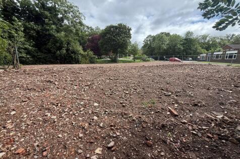 3. Site photo.jpg