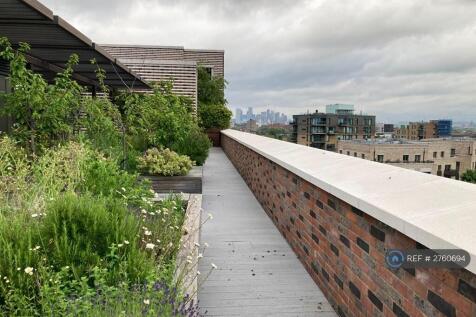 Roof Garden