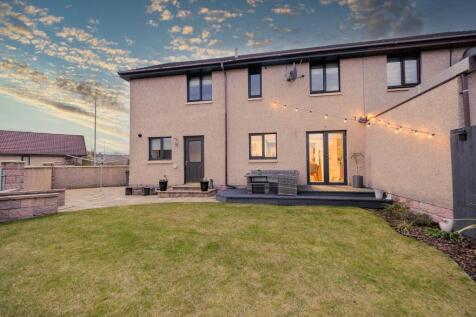 Rear garden in the evening