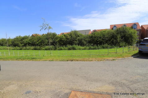 24-IMG_2564