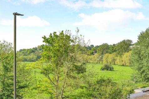 Water Meadows