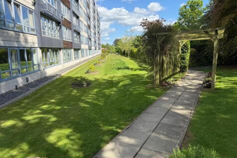 Communal Garden In Summer