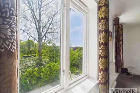 View from Living Room