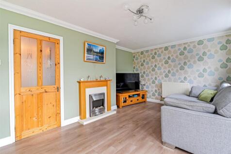 Curlew Close-2.jpg
