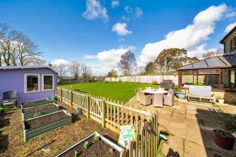 Veg / Summer / Terrace