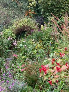 Cottage Garden