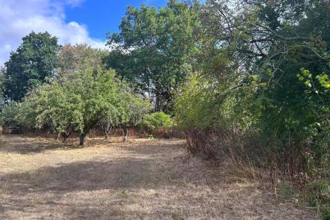 Orchard Area