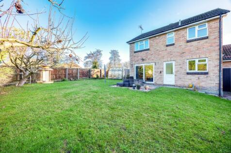 Property Image 14