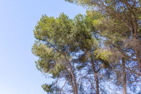 6J5A4729-Mejorado-NR