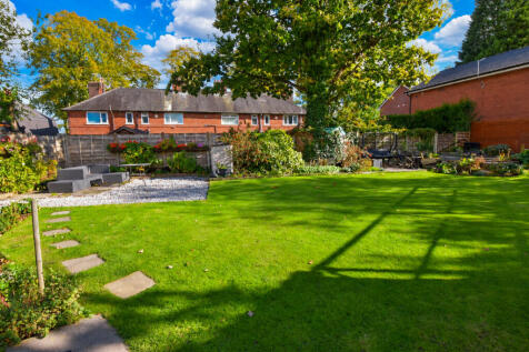 Sunny Suburban Garden with Mature Tree