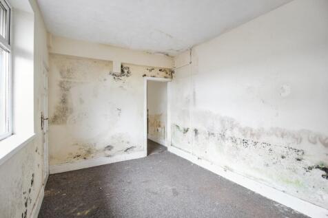 20251115053805 IMG 4453 L3nVQ T202511171854.jpg