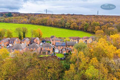 DJI_20251110115010_0941_D copy.jpg