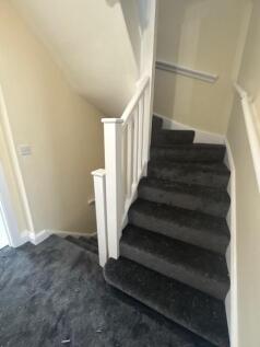 130kingnew12.jpg