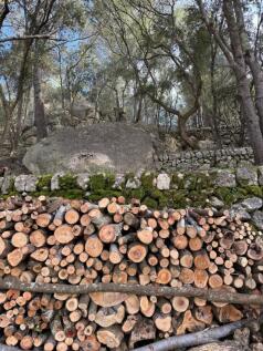 PHOTO-2025-05-07-20-