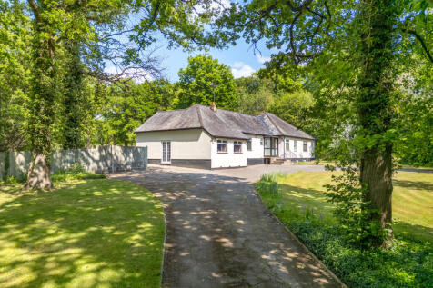 10-681c96d844c2f-...