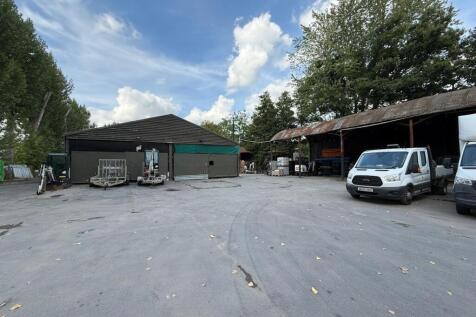 WhatsApp Image 20250812 at 154224_6b7c8f9b.jpg