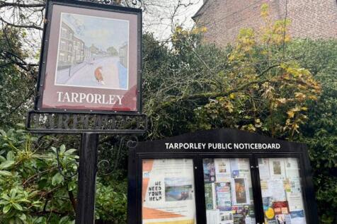 Tarp T202511171239.jpg