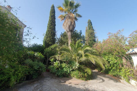 Image 31