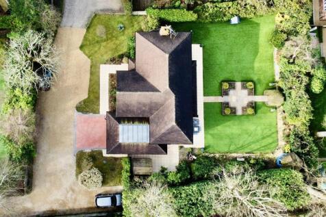 dji_fly_20260303_133232_870_1772623358701_photo_op