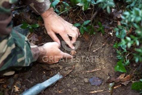 Panorama e Particolari