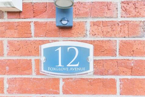 Picture No. 17