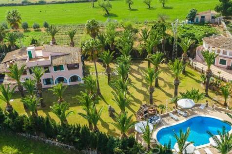 BEAUTIFUL VILLA WITH PALM TREE GARDEN AND SWIMMING POOL