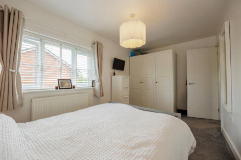 Untitled (5200 x 3900 px) (5200 x 3450 px) (5)