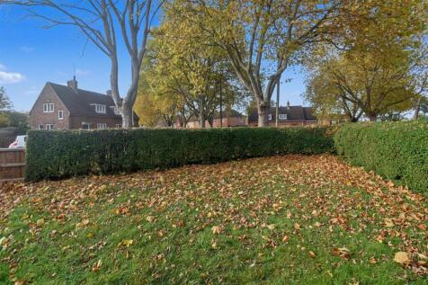 DSC_0480.JPG