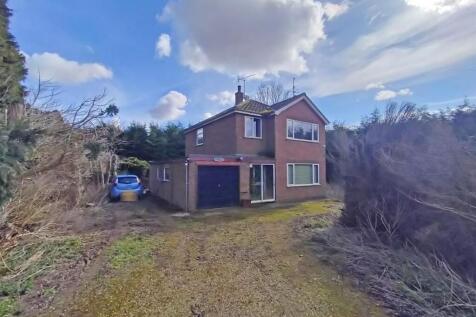 IMG20250314131032 - Copy.jpg