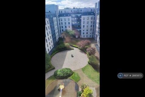 View From Living Room
