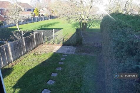 Back Garden