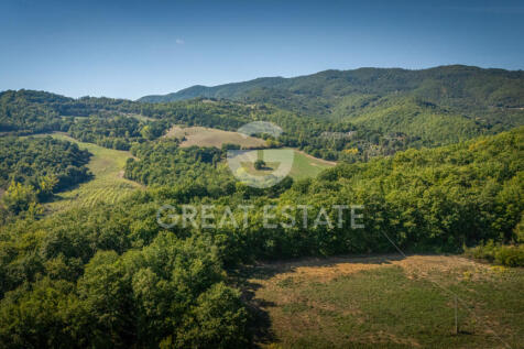 Panorama e Particolari